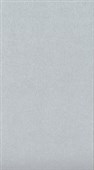 COLOURED PAPER A4 285GSM METALLIC SILVER PACK 20