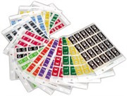 FILECORP COLOURFIND ALPHA LABEL B 03FCHCFALAP 40 LABELS